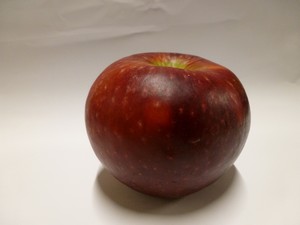 la pomme Red Winter - la cueillette du bosc - Ambre - Tarn